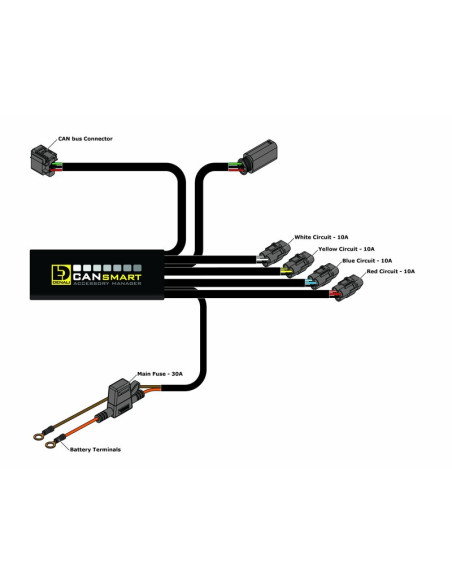 Faisceau DENALI CANsmart Gen II BMW R 1200 - 1250 LC Series