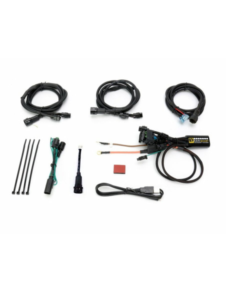 Faisceau DENALI CANsmart Gen II BMW R 1200 GS/R/RT