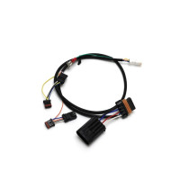 Faisceau DENALI pour DialDim - Harley-Davidson PAN AMERICA 2021–2024