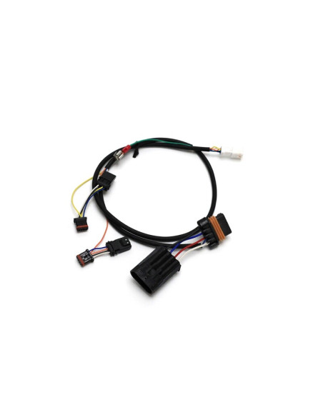 Faisceau DENALI pour DialDim - Harley-Davidson PAN AMERICA 2021–2024