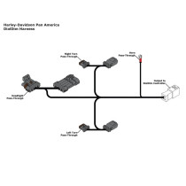 Faisceau DENALI pour DialDim - Harley-Davidson PAN AMERICA 2021–2024 2