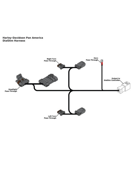 Faisceau DENALI pour DialDim - Harley-Davidson PAN AMERICA 2021–2024
