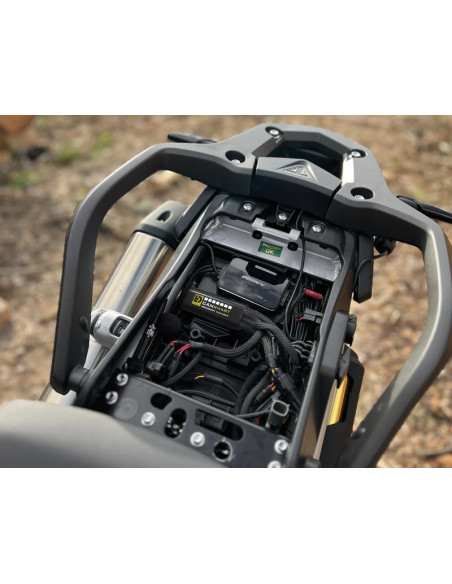 Faisceau DENALI CANsmart Gen II Triumph Tiger 900 - 1200