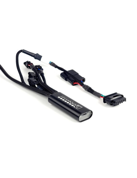 Faisceau DENALI CANsmart Gen II BMW R 1300 GS/GSA