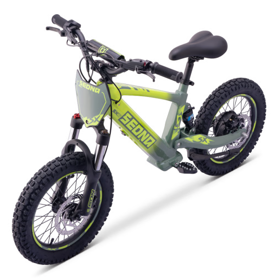 Draisienne Sedna Sx 16 Pouces électrique Vert