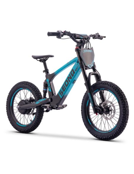 Draisienne Sedna Sx 18 Pouces électrique Bleu