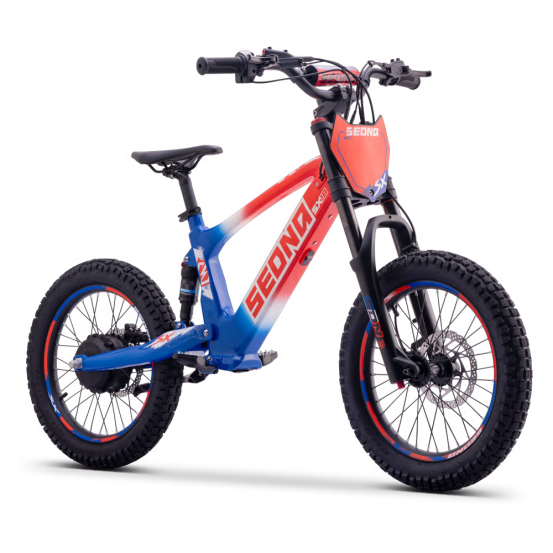 Draisienne Sedna Sx 18 Pouces électrique Patriot