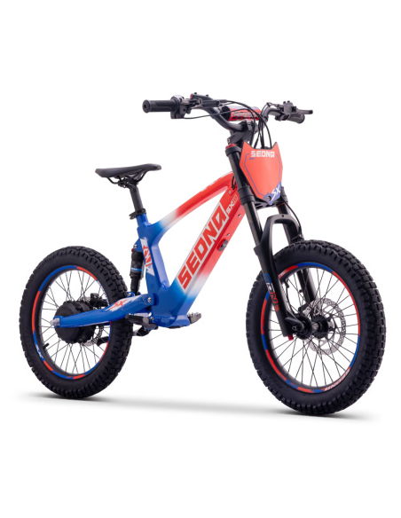 Draisienne Sedna Sx 18 Pouces électrique Patriot