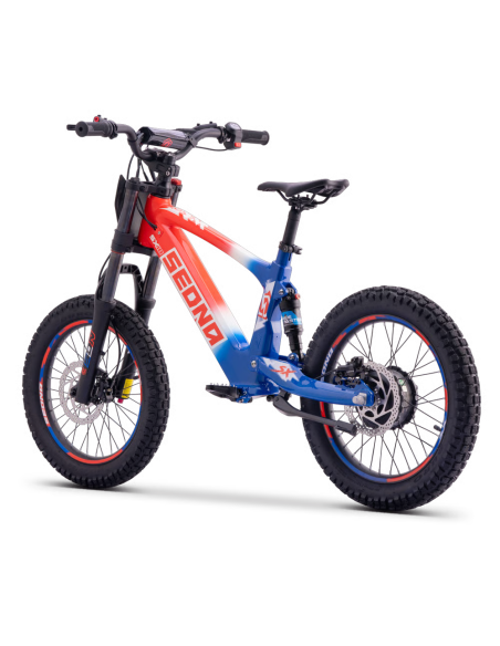 Draisienne Sedna Sx 18 Pouces électrique Patriot