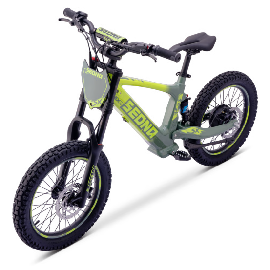 Draisienne Sedna Sx 18 Pouces électrique Vert