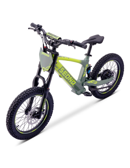 Draisienne Sedna Sx 18 Pouces électrique Vert