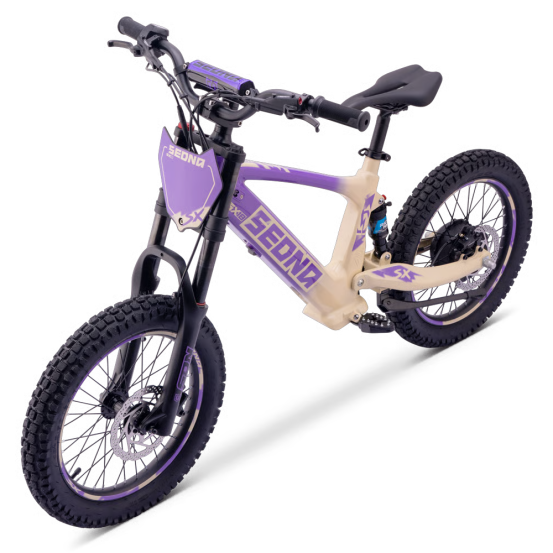 Draisienne Sedna Sx 18 Pouces électrique Violet