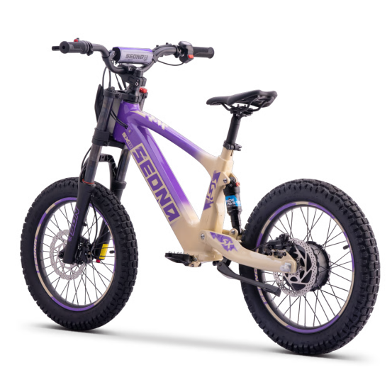 Draisienne Sedna Sx 18 Pouces électrique Violet