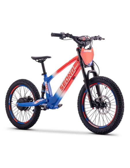 Draisienne Sedna Sx 20 Pouces électrique Patriot