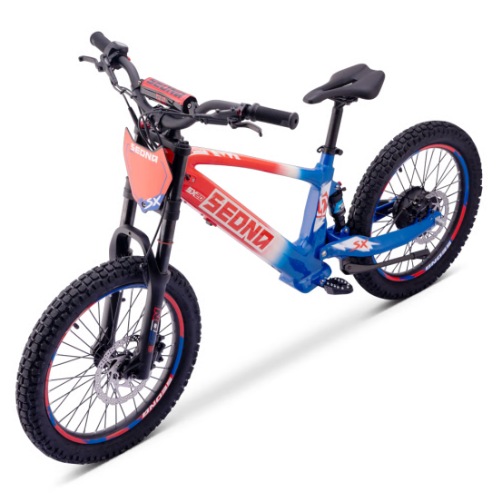 Draisienne Sedna Sx 20 Pouces électrique Patriot