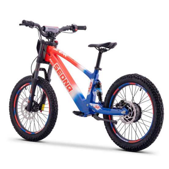 Draisienne Sedna Sx 20 Pouces électrique Patriot
