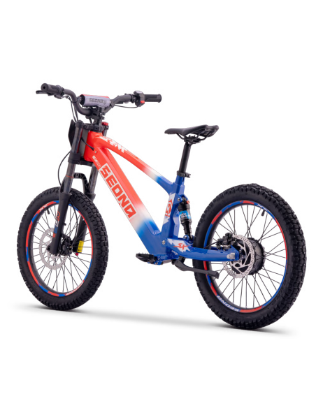 Draisienne Sedna Sx 20 Pouces électrique Patriot