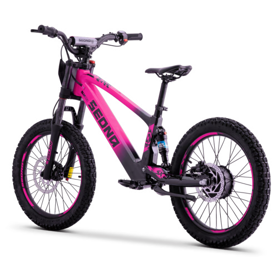 Draisienne Sedna Sx 20 Pouces électrique Rose