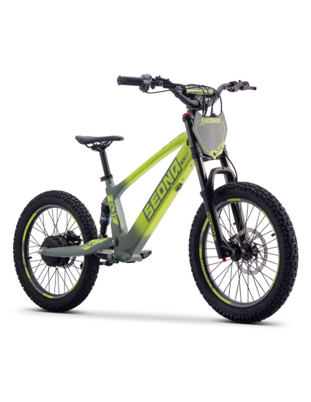 Draisienne Sedna Sx 20 Pouces électrique Vert