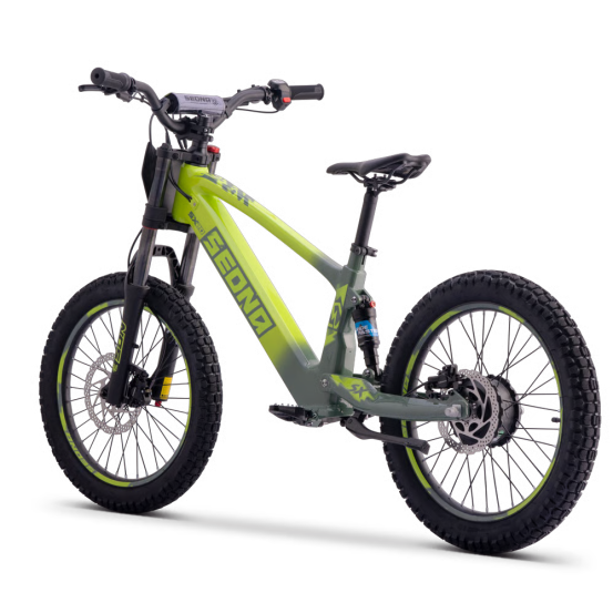 Draisienne Sedna Sx 20 Pouces électrique Vert