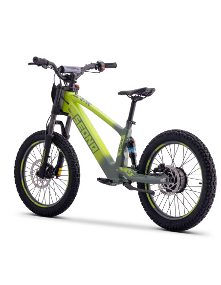 Draisienne Sedna Sx 20 Pouces électrique Vert