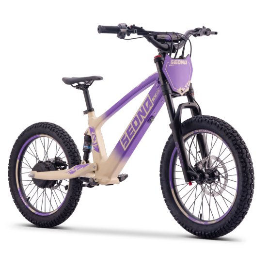 Draisienne Sedna Sx 20 Pouces électrique Violet