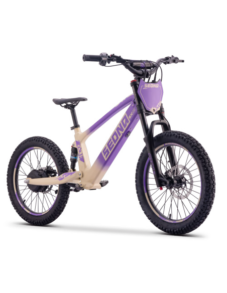 Draisienne Sedna Sx 20 Pouces électrique Violet