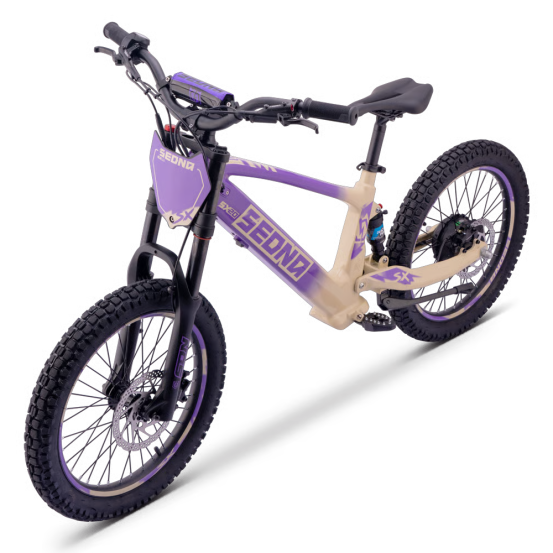 Draisienne Sedna Sx 20 Pouces électrique Violet