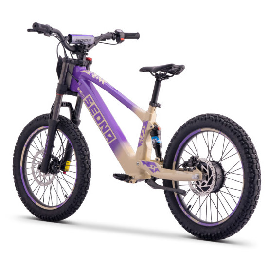 Draisienne Sedna Sx 20 Pouces électrique Violet