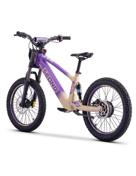 Draisienne Sedna Sx 20 Pouces électrique Violet