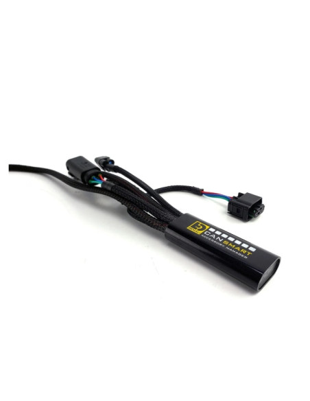 Pack éclairage feux additionnels led DENALI D7 Pro CANsmart supports pare-carter BMW R1250 GS / GSA / RT / RS 2019-2023
