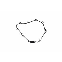 Joint de carter d'alternateur CENTAURO 2
