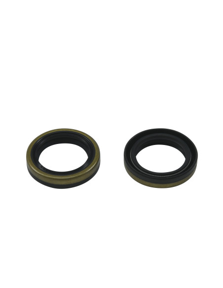 Kit joints spi de vilebrequin ALL BALLS - BETA EVO 2T 125 2009-2024 / EVO 2T 125 Factory 2022-2023 / EVO 2T 200 2009-2023