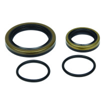 Kit joints spi de vilebrequin ALL BALLS - BETA RR 2T 250 2013-2024 / RR 2T 250 Race 2022-2025 / RR 2T 250 X-PRO 2025