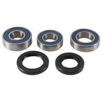 Kit roulements de roue arrière ALL BALLS - GAS-GAS EC125 2013-2014 / EC200 2014 / EC250 2014 / EC250 4T 2014