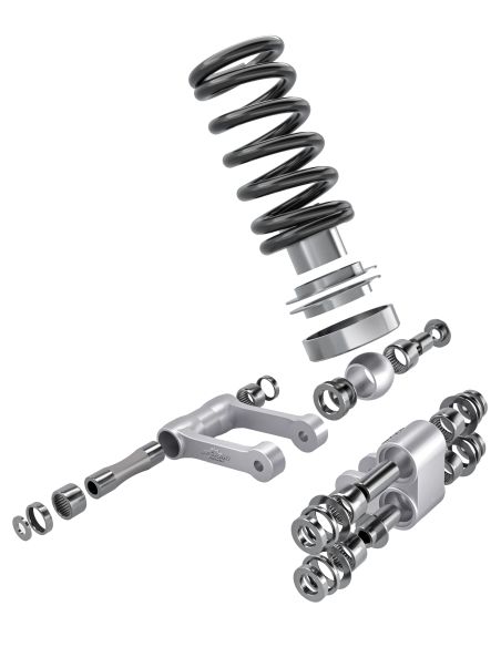 Kit roulements de biellettes de suspension FACTORY LINKS - TRIUMPH TF 250 / TF 450