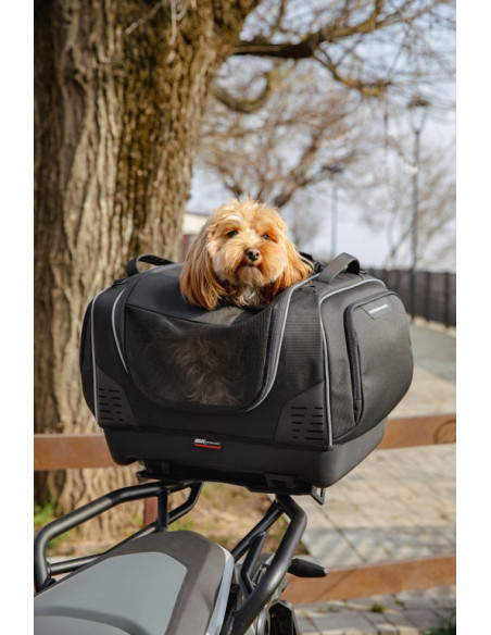 Sac de transport Givi Monokey pour animaux 5 kg