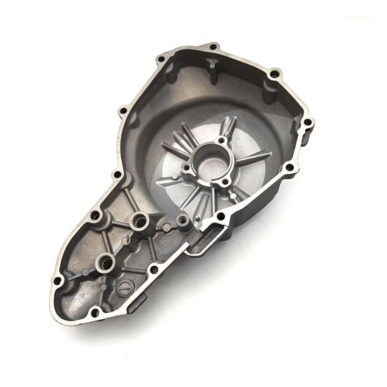 Carter moteur BRAZOLINE - KAWASAKI Z650 / 650 NINJA 2017-2025