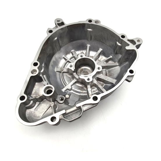 Carter moteur BRAZOLINE - KAWASAKI 1000 NINJA / Z1000 2017-2024 / Z1000 R 2017-2023