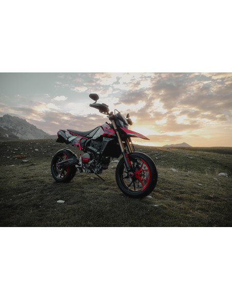 Caches de bras oscillant en carbone SM PROJECT - Finition brillante ou mat - DUCATI HYPERMOTARD 698