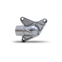 Protection de pompe à eau gris titane SM PROJECT - DUCATI 821 - 937 - 939 - 950 - 1200 - 1260