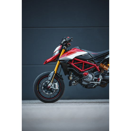 Protection de pompe à eau rouge SM PROJECT - DUCATI 821 - 937 - 939 - 950 - 1200 - 1260