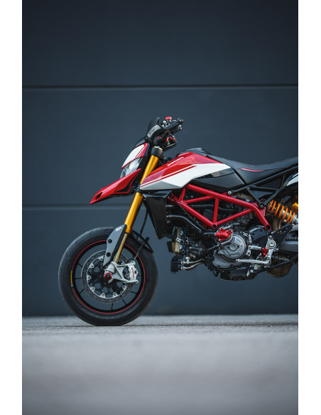 Protection de pompe à eau rouge SM PROJECT - DUCATI 821 - 937 - 939 - 950 - 1200 - 1260