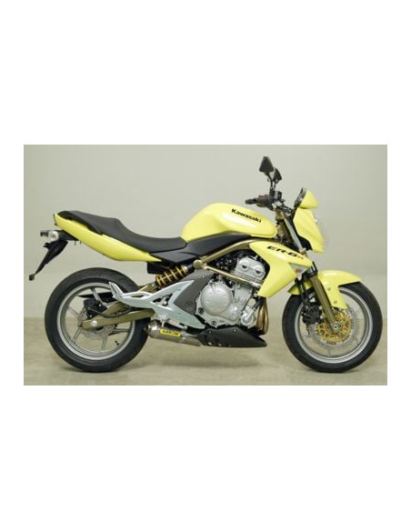 Silencieux Maxi Race-Tech ARROW - aluminium - embout inox - homologué - KAWASAKI