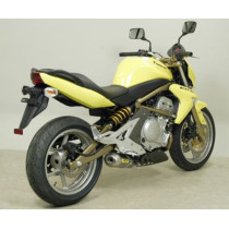 Silencieux Maxi Race-Tech ARROW - aluminium - embout inox - homologué - KAWASAKI 2