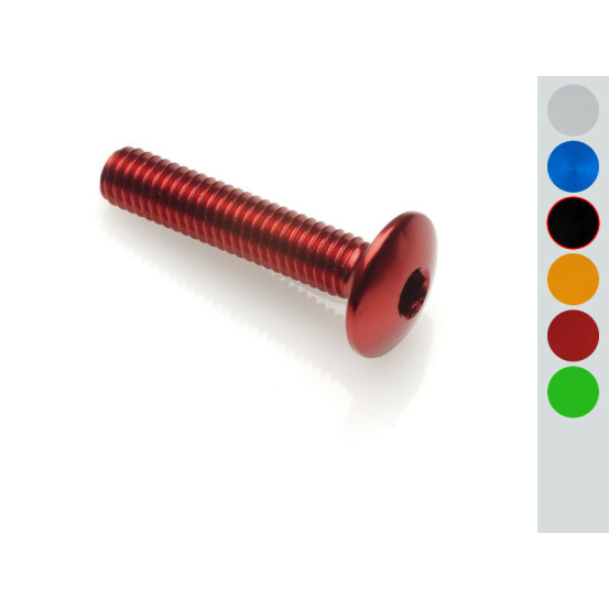 Vis tête bombée LIGHTECH M5 x 10 Ergal
