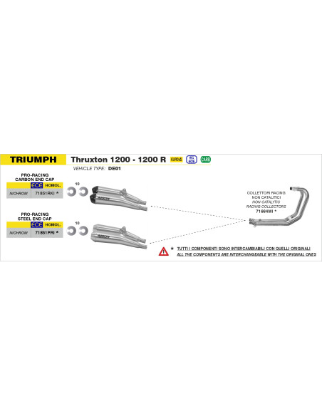 Paire de silencieux Pro-Racing ARROW - nichrome - homologué - TRIUMPH