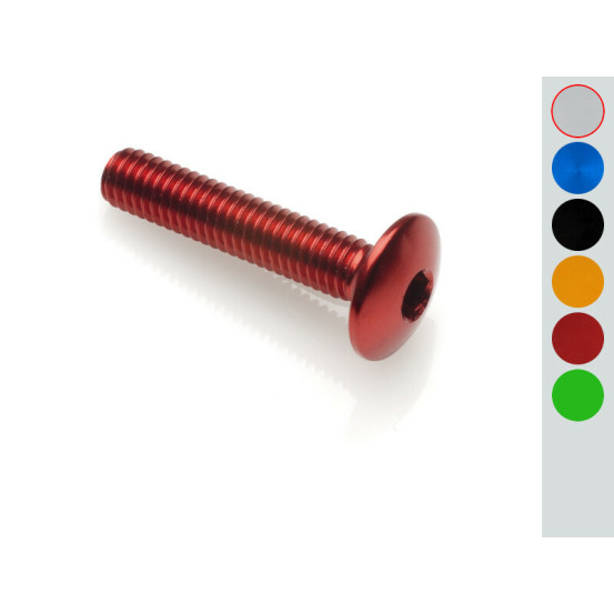 Vis tête bombée LIGHTECH M6 x 30 Ergal