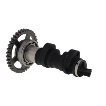 Arbre à cames simple HOT CAMS - niveau 1 - HONDA 450 CRF R 2017-2020 2