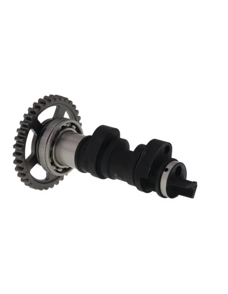 Arbre à cames simple HOT CAMS - niveau 1 - HONDA 450 CRF R 2017-2020